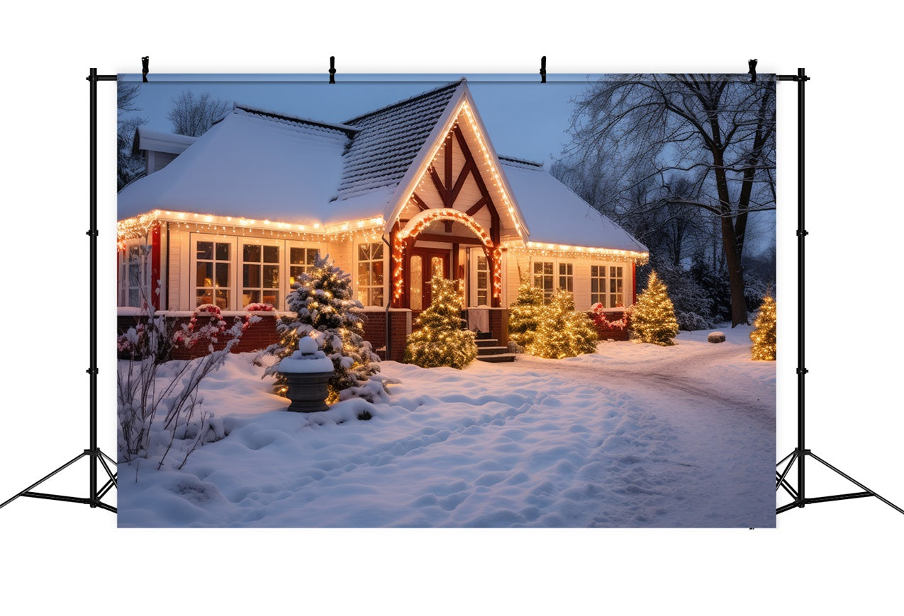 Winter Snow Hintergrund Cottage Twinkling Lights Hintergrund BRP11-43