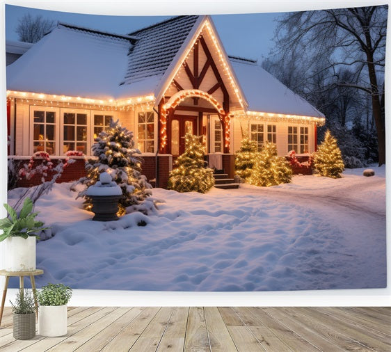 Winter Snow Hintergrund Cottage Twinkling Lights Hintergrund BRP11-43