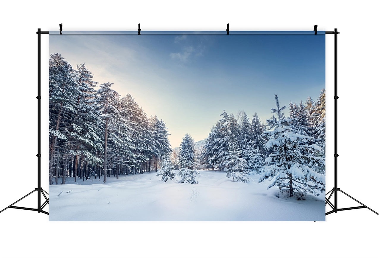 Winter Woods Hintergrund Serene Pine Landscape Hintergrund BRP11-490