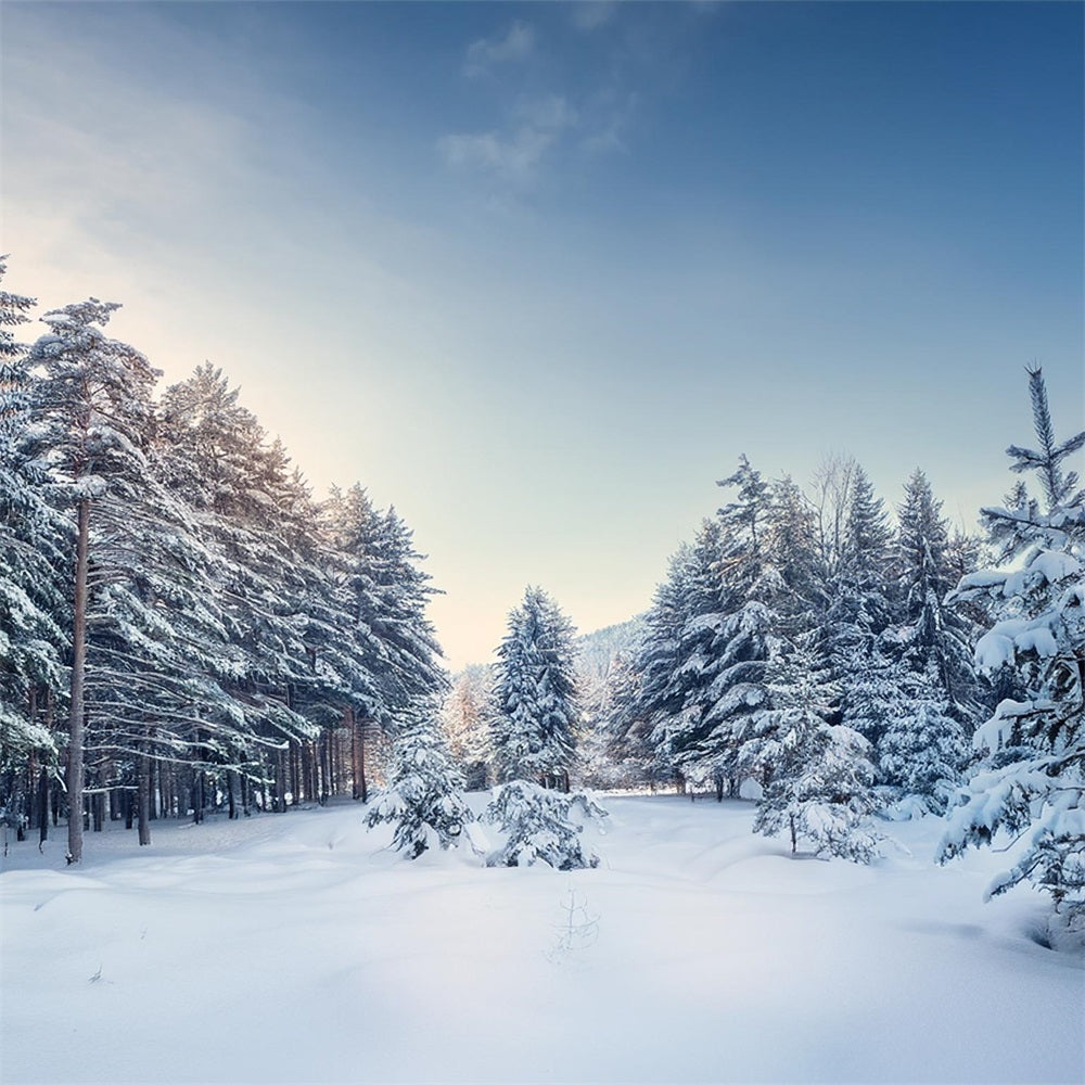 Winter Woods Hintergrund Serene Pine Landscape Hintergrund BRP11-490