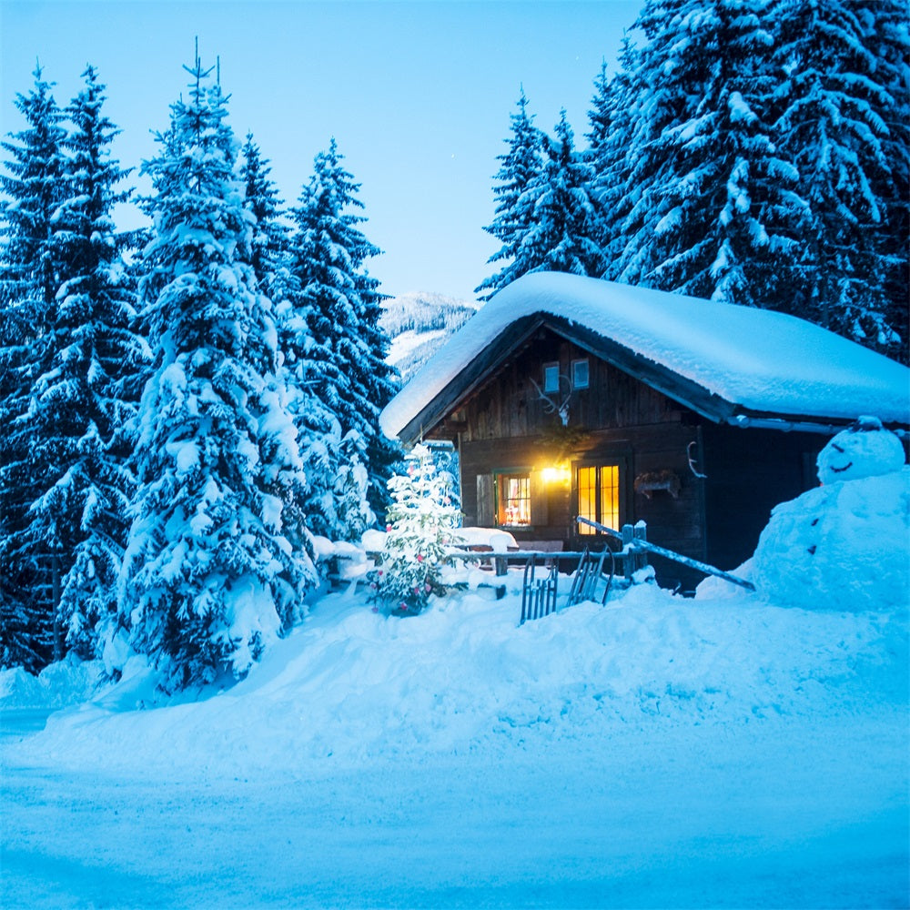 Winterszenen-Hintergrundkulisse Hütte Verschneiter Kiefernwald Hintergrund BRP11-494