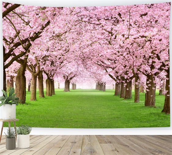 Fotografie Frühling Backdrops Kirschblüten Pfad Scenic Backdrop BRP11-514