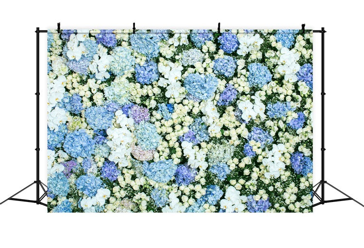 Frühling Fotokulissen Blau Weiß Floral Wand Hintergrund BRP11-518