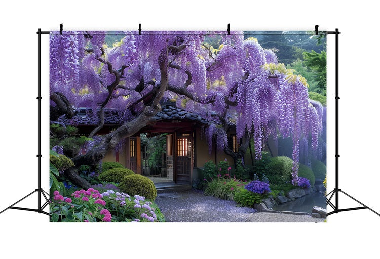 Frühling Hintergrund Wisteria Blüte um Tür Hintergrund BRP11-520