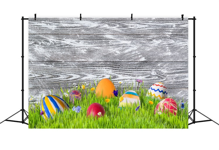 Ostern Fotokulisse Ideen Wiese Bunte Eier Hintergrund BRP12-424