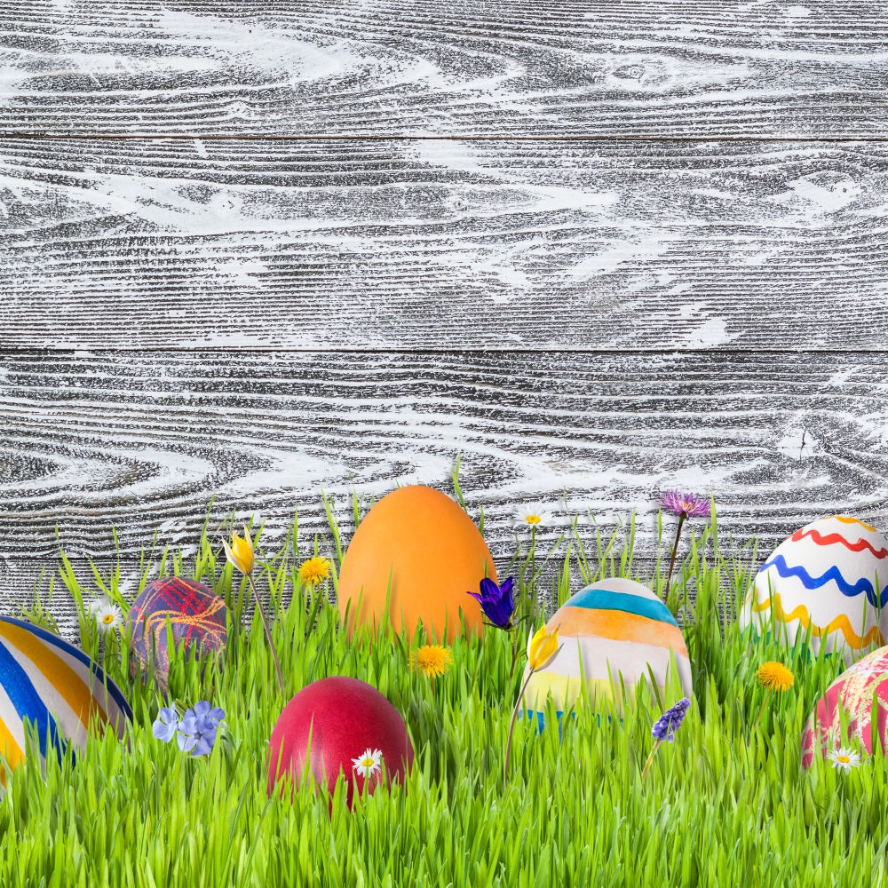 Ostern Fotokulisse Ideen Wiese Bunte Eier Hintergrund BRP12-424