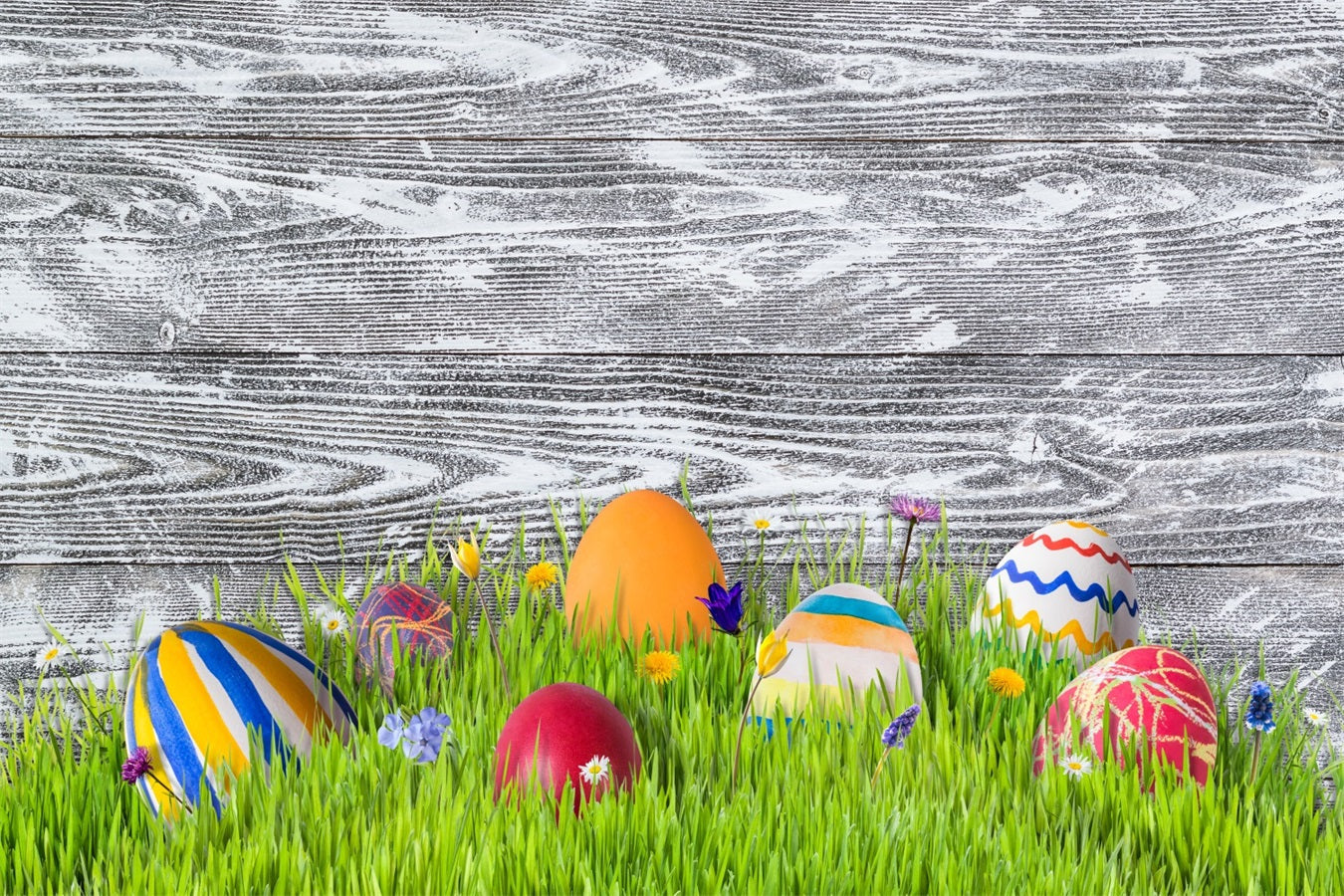 Ostern Fotokulisse Ideen Wiese Bunte Eier Hintergrund BRP12-424