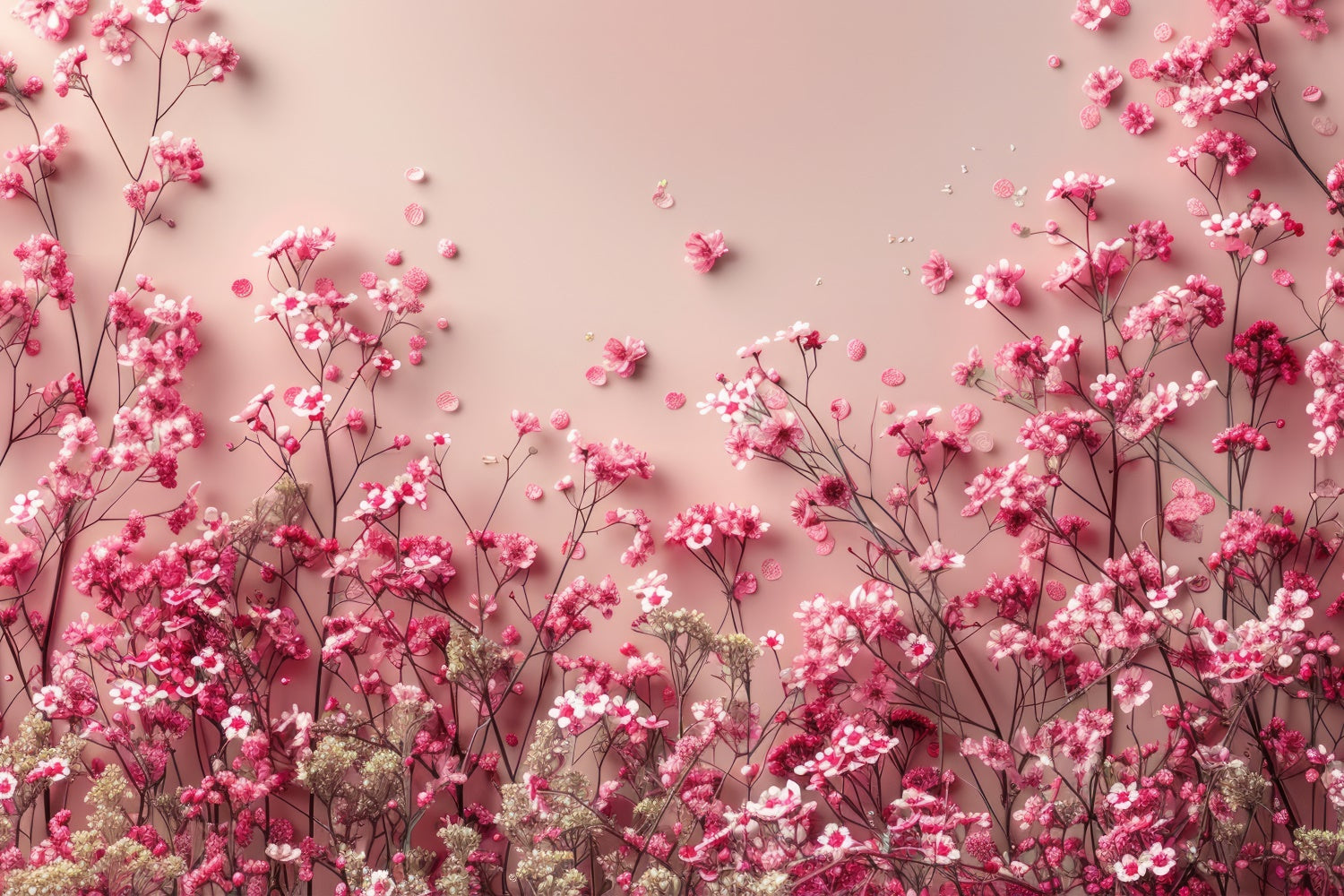 Backdrops Frühling Blühende Rosa Schleierkraut Pastell Backdrop BRP12-464