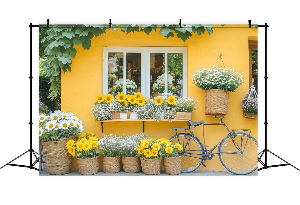 Frühling Fotohintergrund Blumen Lebendiges Gänseblümchen Fahrradhintergrund BRP12-494