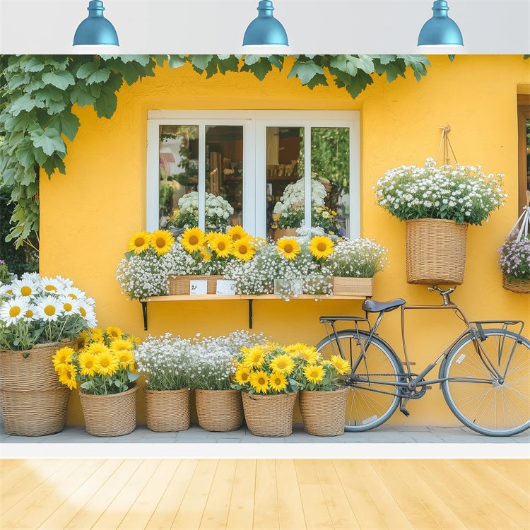 Frühling Fotohintergrund Blumen Lebendiges Gänseblümchen Fahrradhintergrund BRP12-494