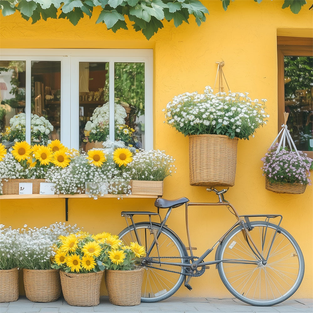 Frühling Fotohintergrund Blumen Lebendiges Gänseblümchen Fahrradhintergrund BRP12-494