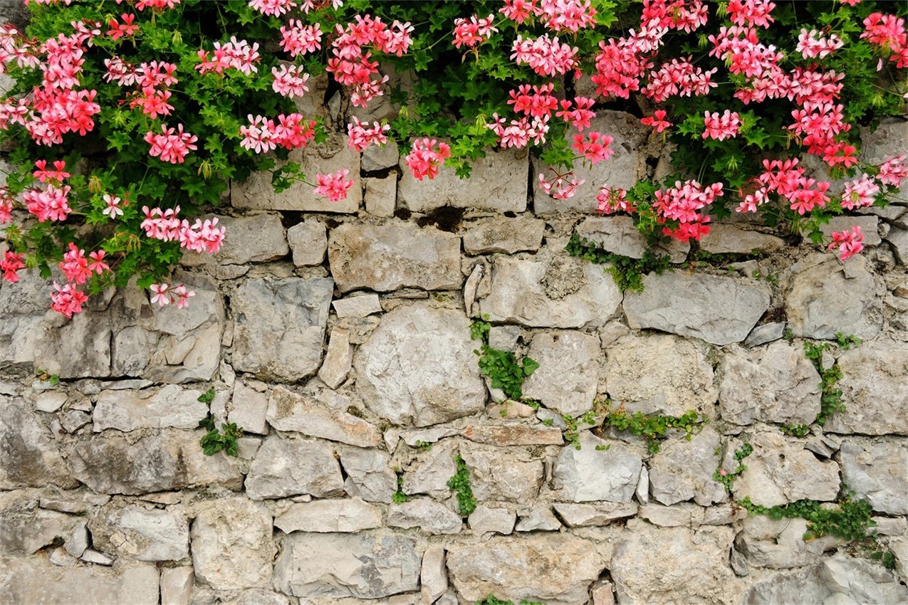 Blumenwand Fotohintergrund Lebendiges Rosa Steinwand Hintergrund BRP12-565