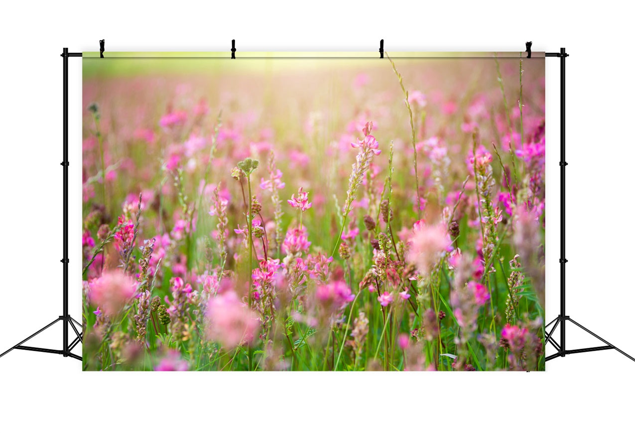 Fotohintergrund Floral Romantisch Rosa Blüte Wiese Hintergrund BRP12-569