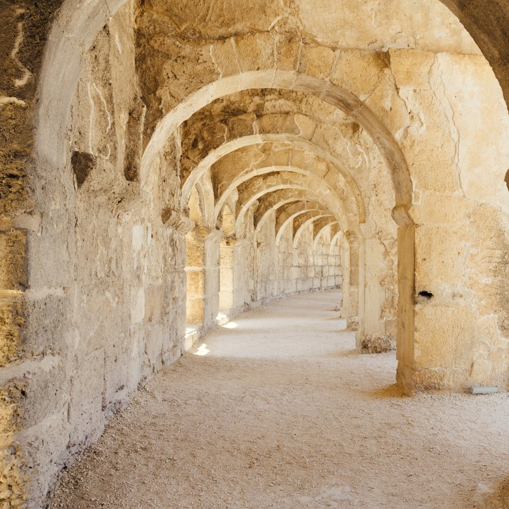 Architektur-Hintergrundkulisse Rustikaler Romanischer Steinflur Hintergrund BRP12-648