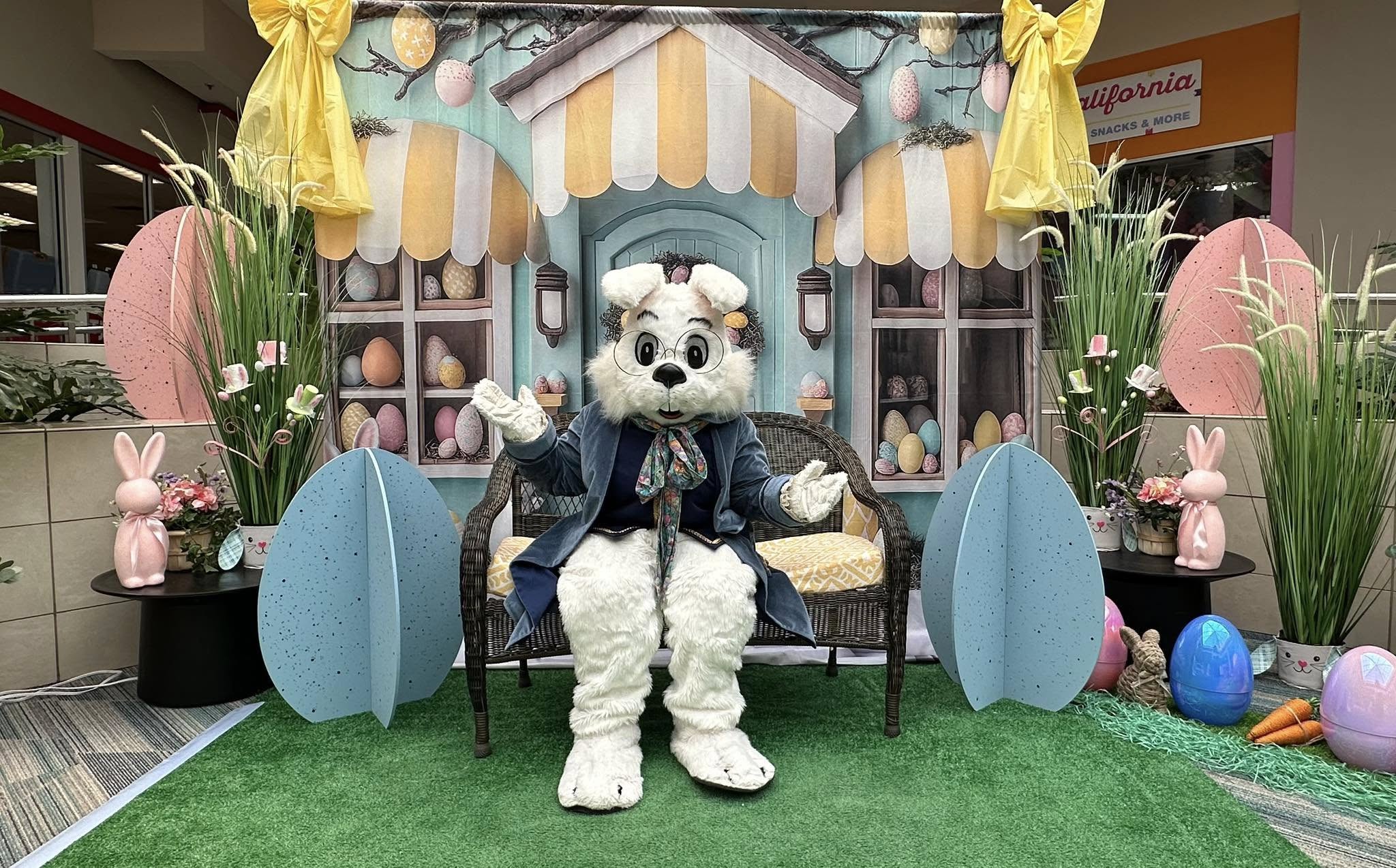 Ostern Hintergrund Fotografie Skurrile Bunny Store Szene Backdrop BRP12-734