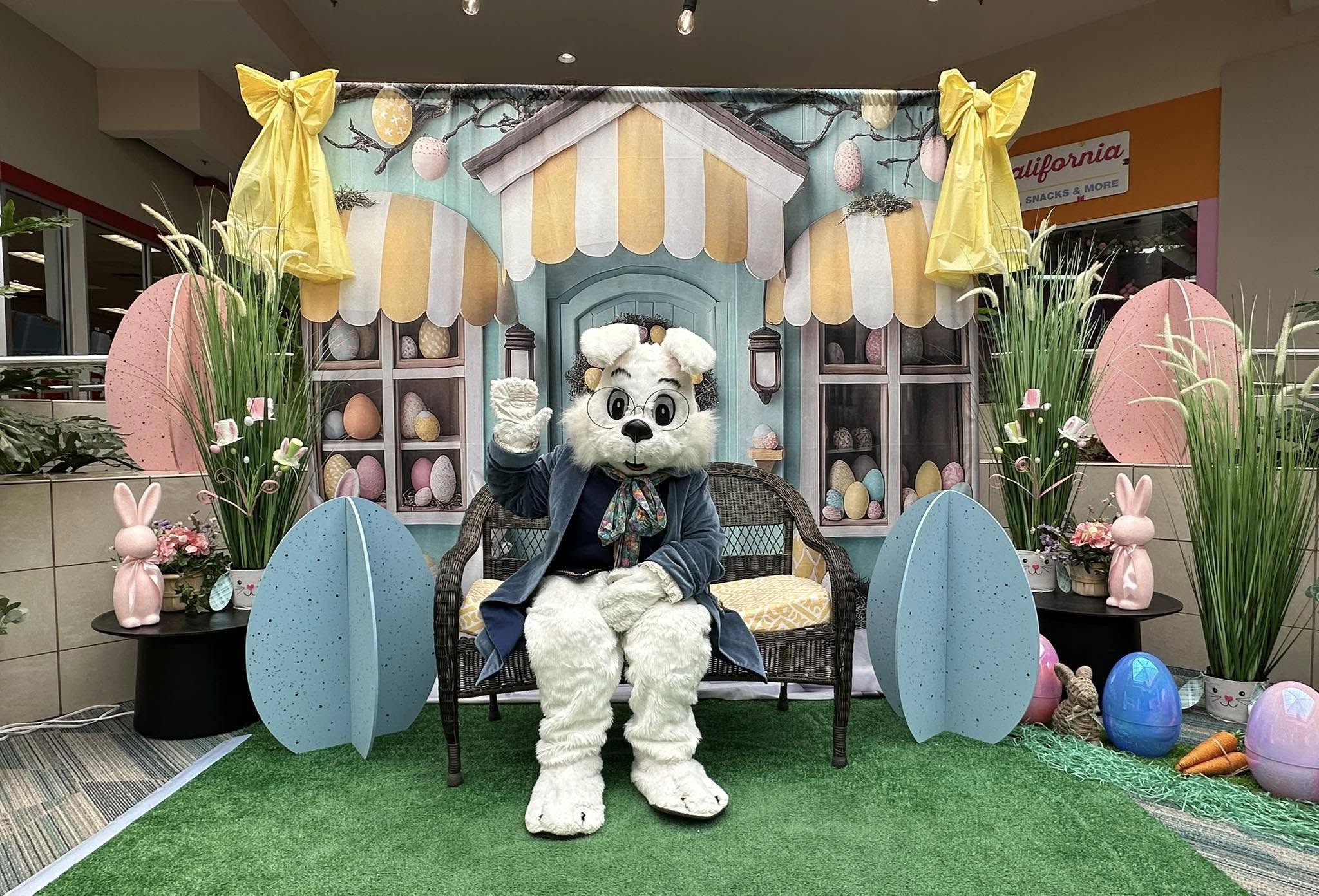 Ostern Hintergrund Fotografie Skurrile Bunny Store Szene Backdrop BRP12-734
