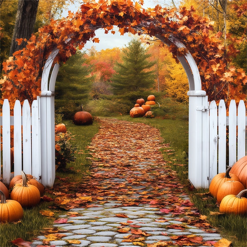 Herbstblätter Backdrop Kürbis Bogen Pfad Fotohintergrund BRP57-202