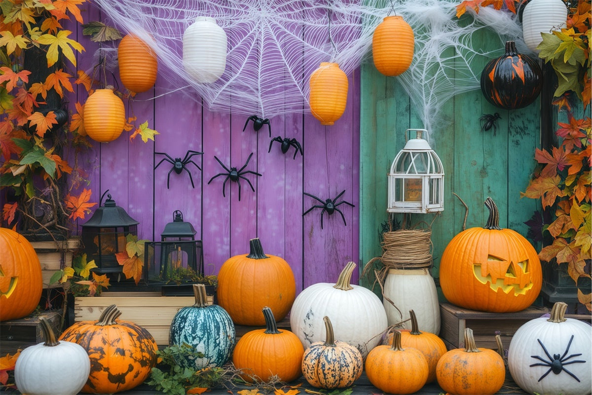Halloween Fotohintergrund Spinnennetz Kürbis Wandhintergrund BRP57-78