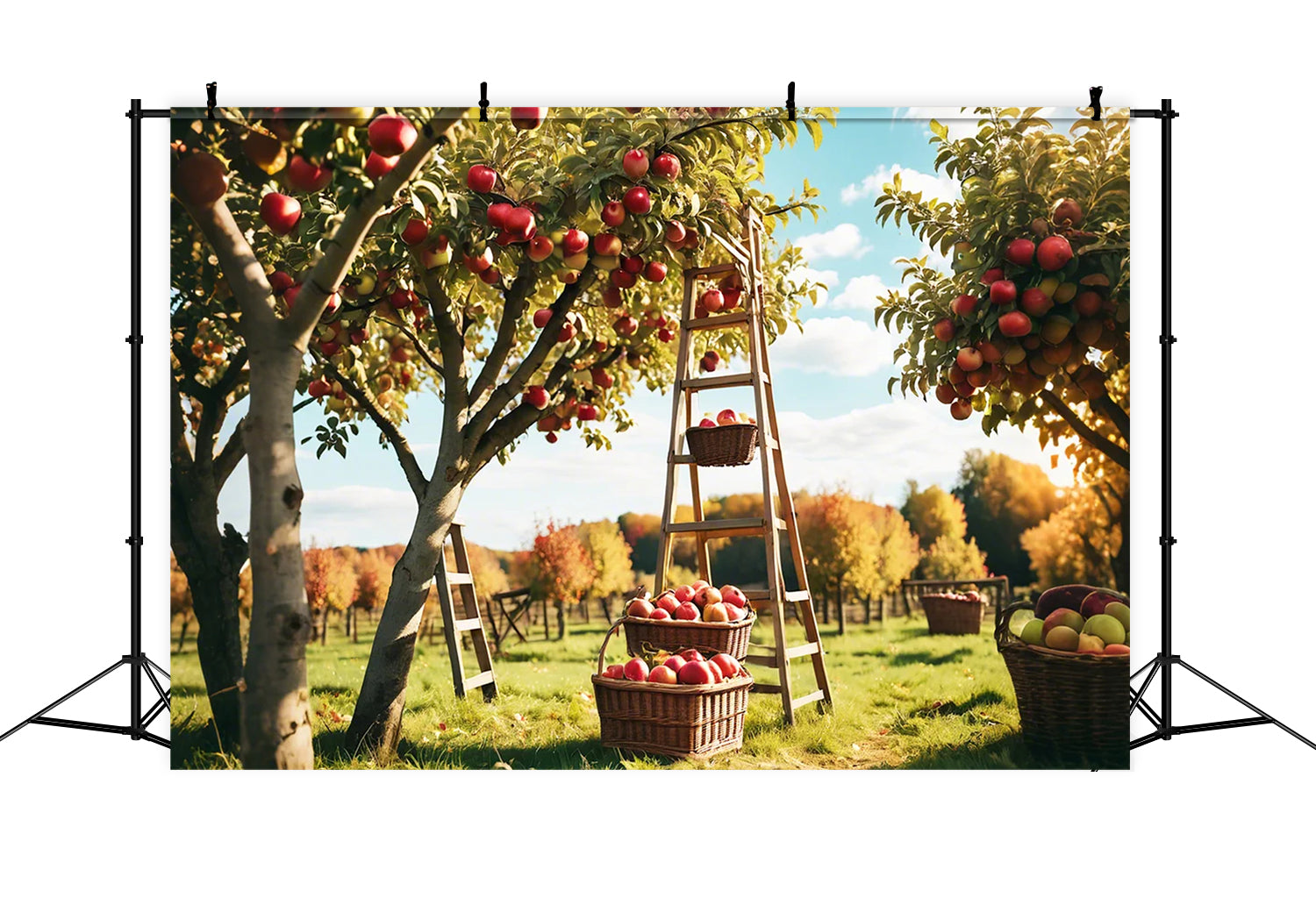 Herbst Outdoor Wald Rot Apfel Obstgarten Hintergrund BRP7-111