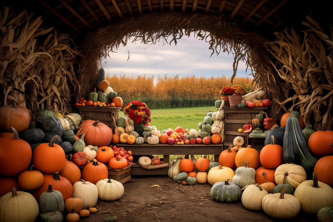 Herbst Kürbis Bauernhof Hintergrund für Fotografie BRP7-122