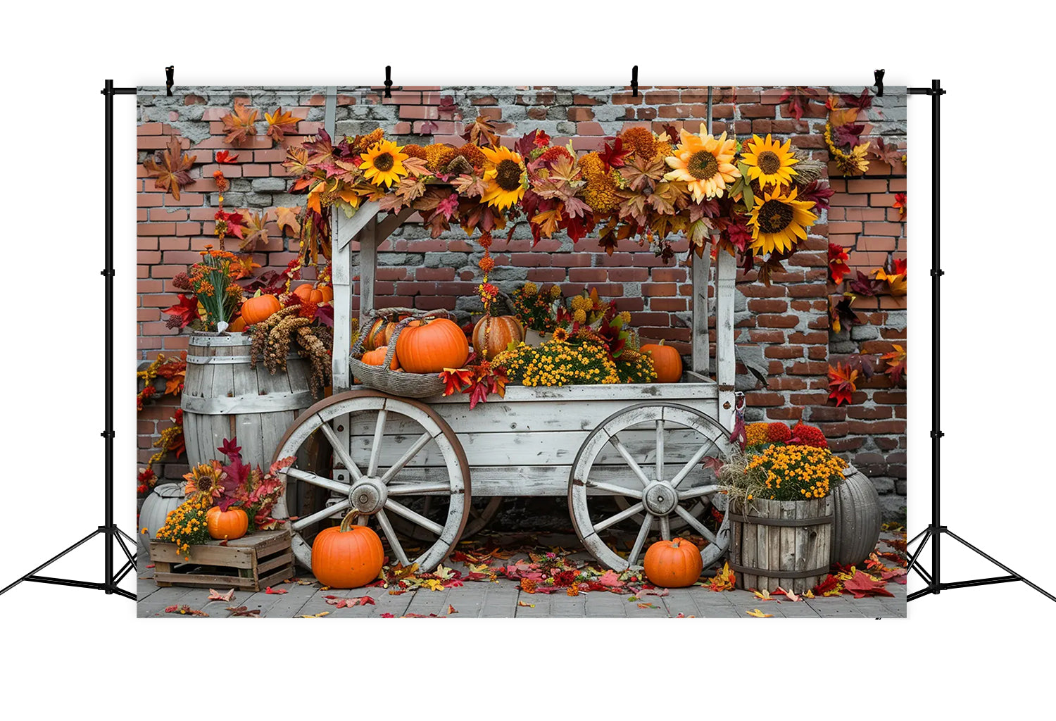 Herbst Kürbis Stand Sonnenblume Backsteinmauer Kulisse BRP7-168