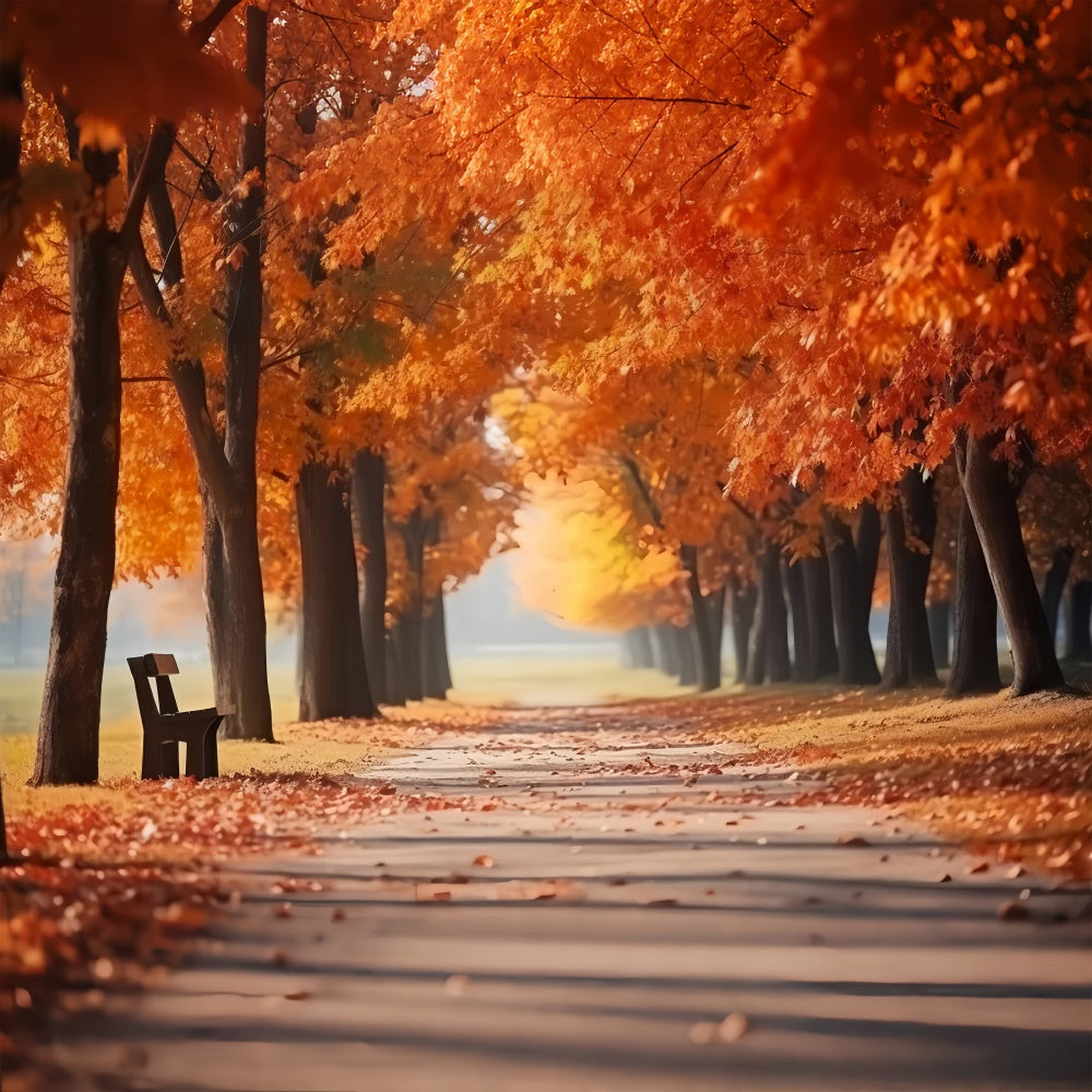 Herbst Golden Leaves Park Path Fotografie Hintergrund BRP7-194