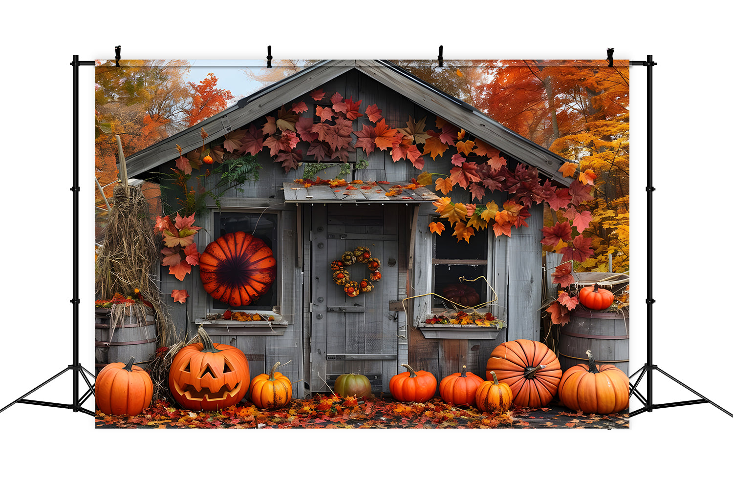 Herbst Wald Holz Haus Kürbisse Fotografie Hintergrund BRP7-88