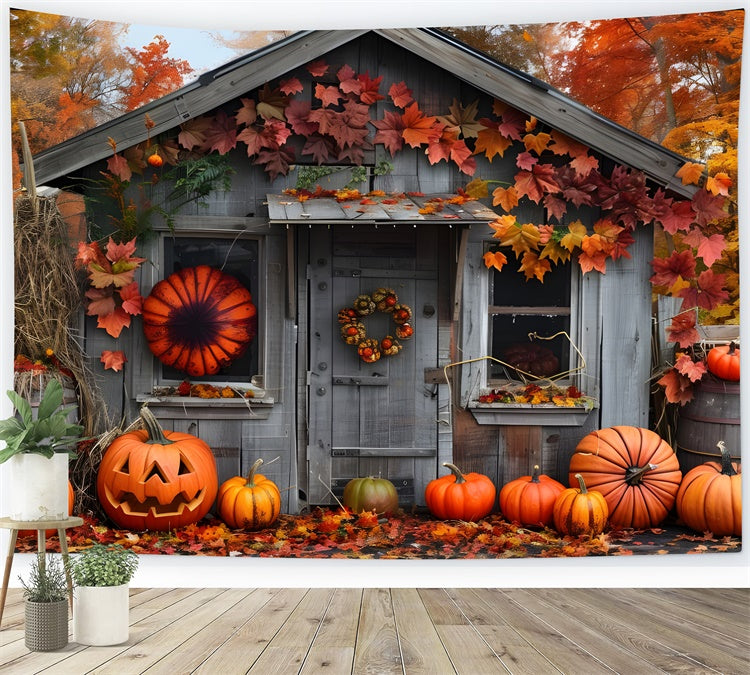 Herbst Wald Holz Haus Kürbisse Fotografie Hintergrund BRP7-88