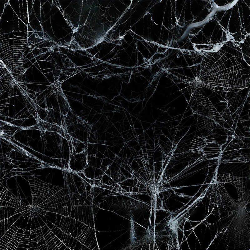 Gruseliges Spinnennetz Halloween Hintergrund BRP8-272
