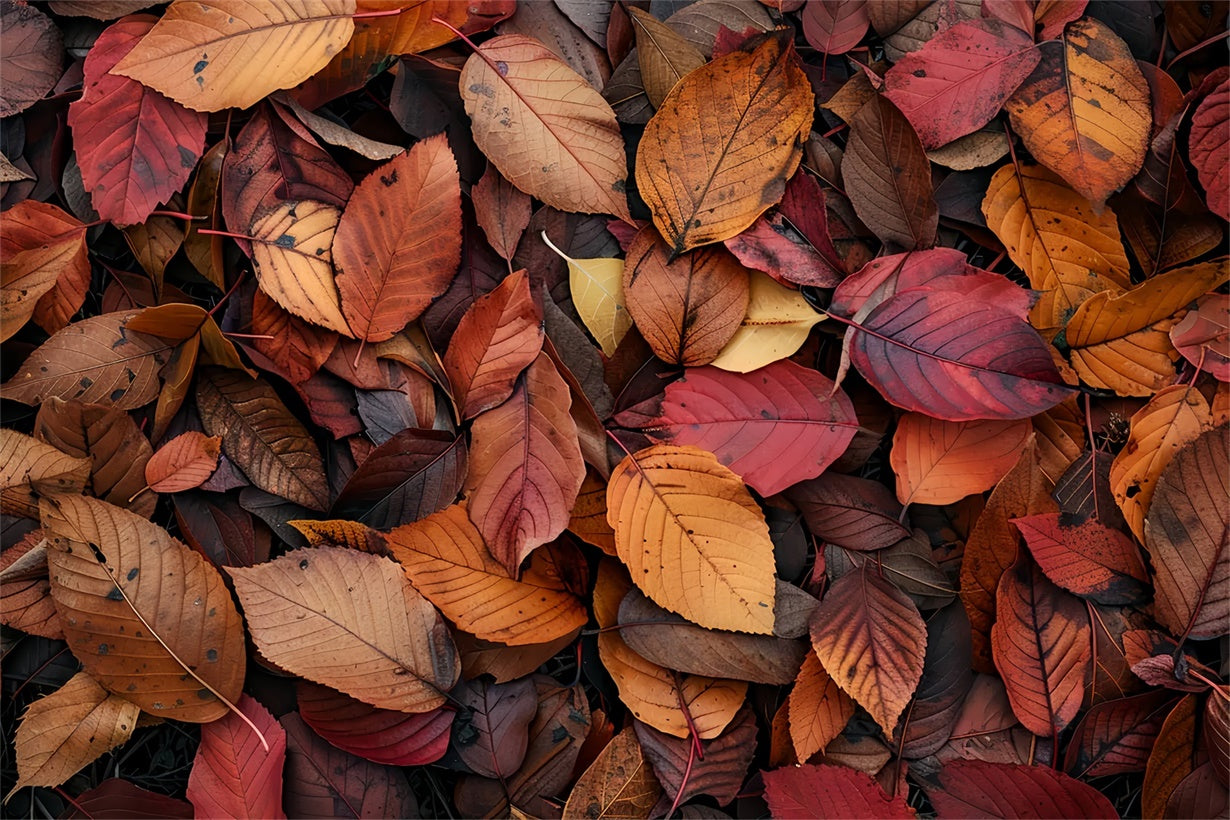 Tiefrote und orangefarbene Blätter Herbst Bodenhintergrund BRP8-286