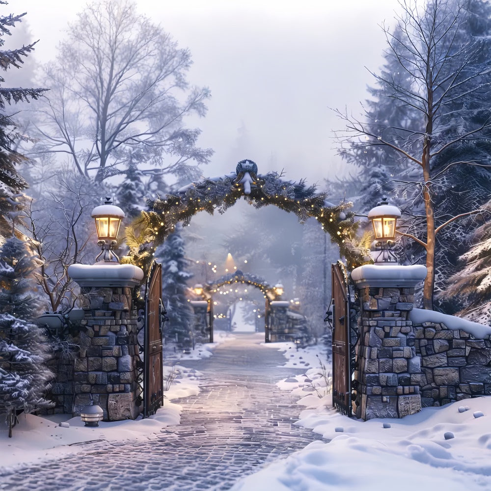 Weihnachten Winter Nacht Steinbogen Weg Hintergrund BRP8-62