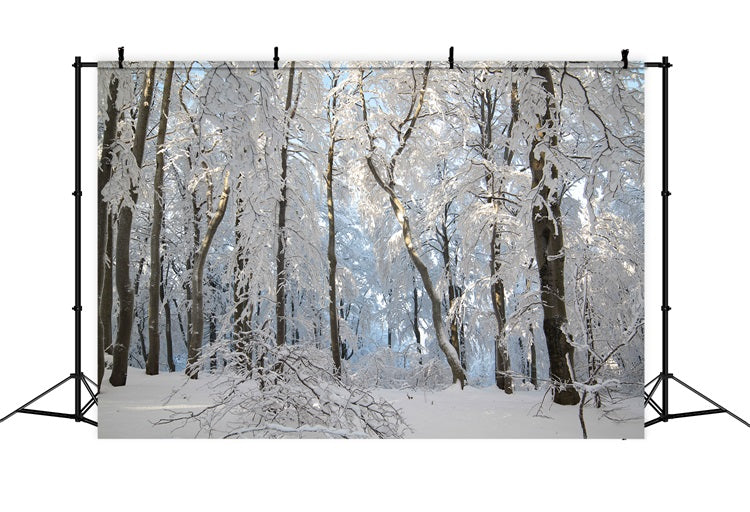 Winter Snowy Forest Wonderland Fotografie Hintergrund BRP9-220