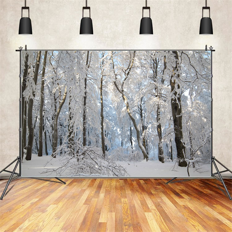 Winter Snowy Forest Wonderland Fotografie Hintergrund BRP9-220