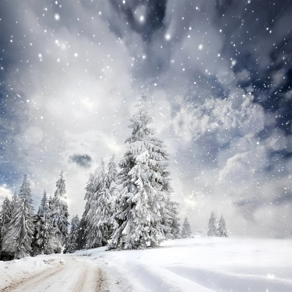 Winterwald unter Sternenhimmel Hintergrund BRP9-224