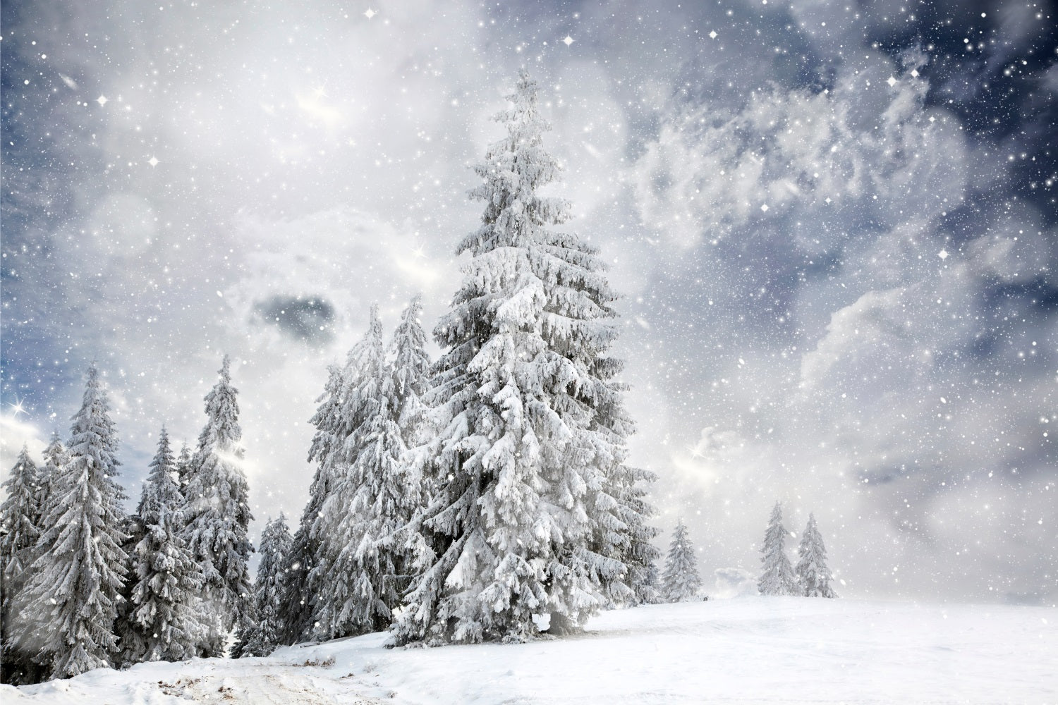 Winterwald unter Sternenhimmel Hintergrund BRP9-224