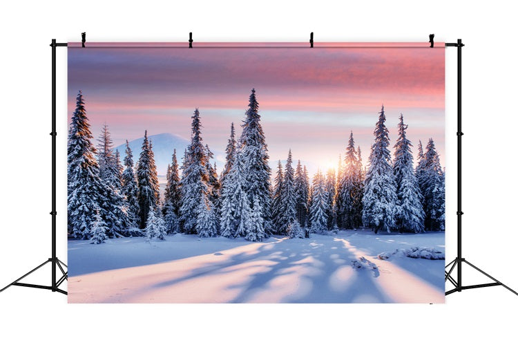 Winterlicher Sonnenaufgang über verschneitem Wald BRP9-226