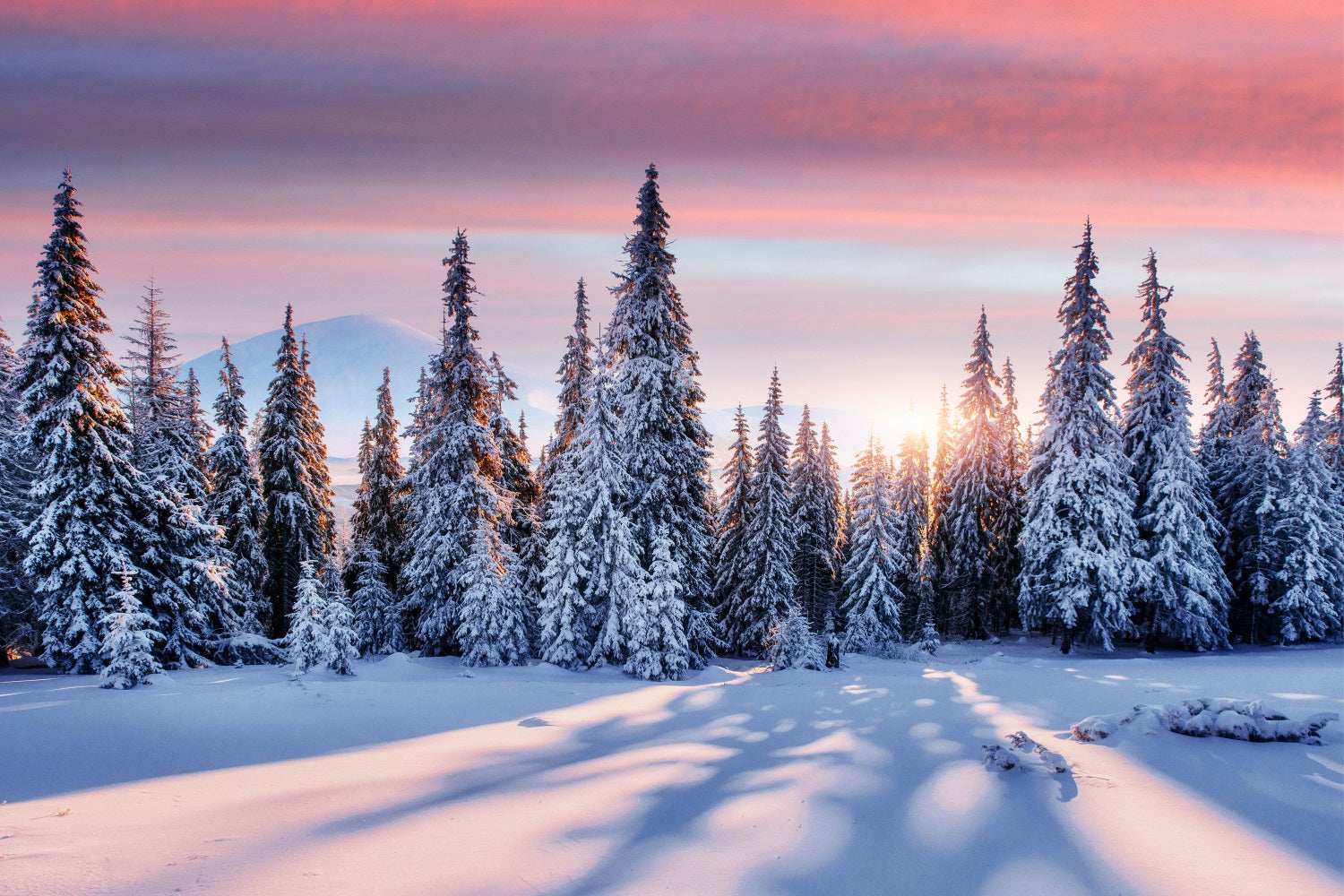 Winterlicher Sonnenaufgang über verschneitem Wald BRP9-226