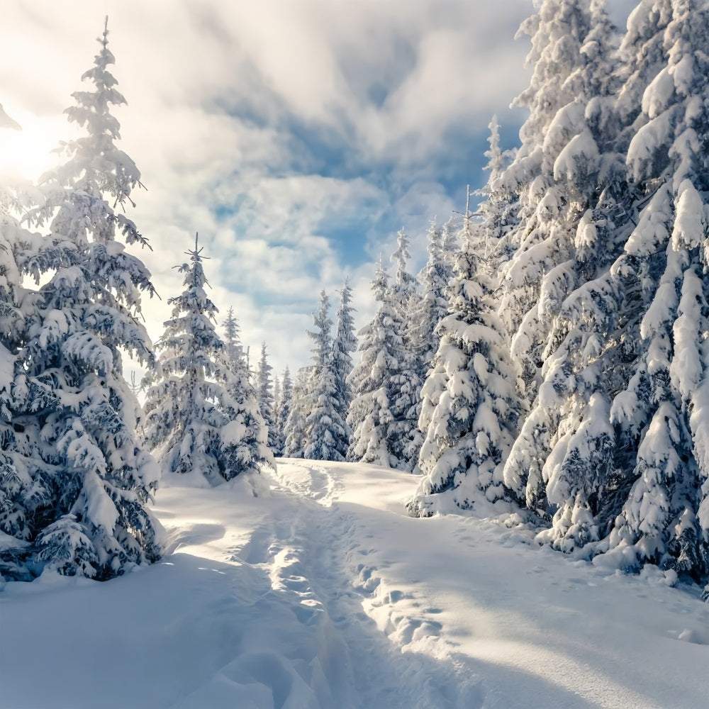 Winter frostige Bäume klarer blauer Himmel Hintergrund BRP9-229