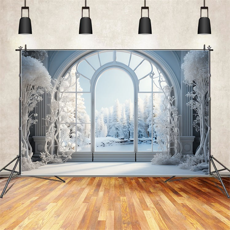 Frostige Winterszene Grand Arched Window Backdrop BRP9-241