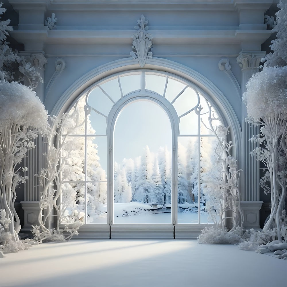 Frostige Winterszene Grand Arched Window Backdrop BRP9-241