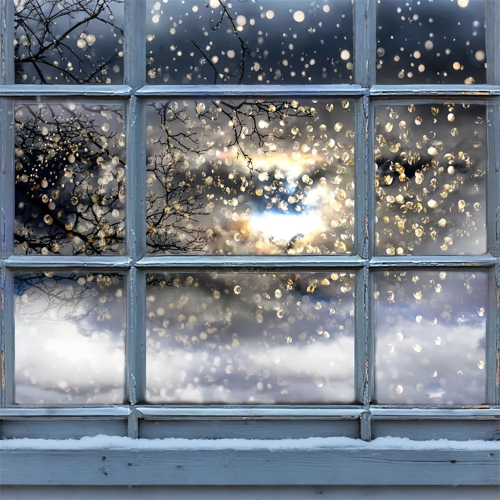 Glitzernde Winterzweige durch Fenster Hintergrund BRP9-301