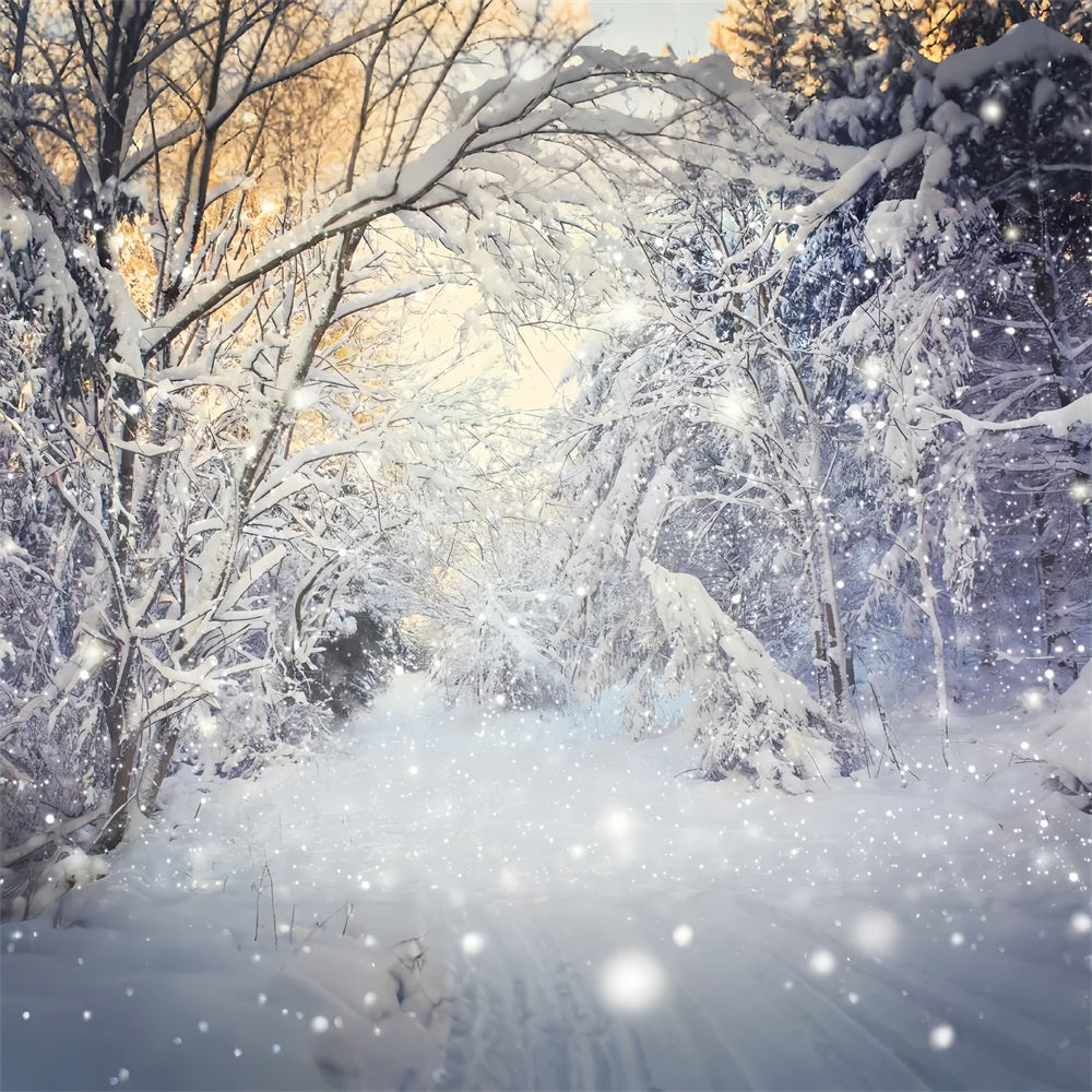 Winter Glitzernde Wald Schneefall Szene Hintergrund BRP9-318