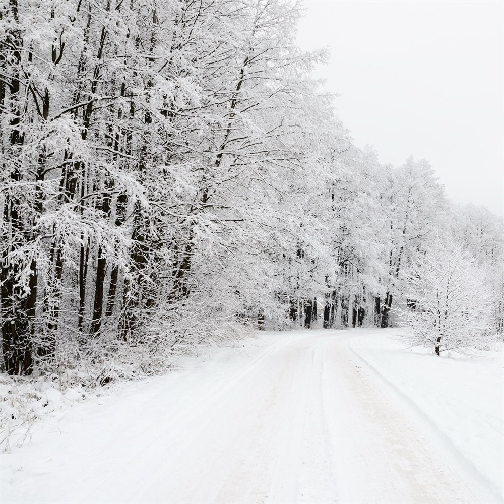 Schneebedeckter Waldweg Winterwunderland Hintergrund BRP9-325