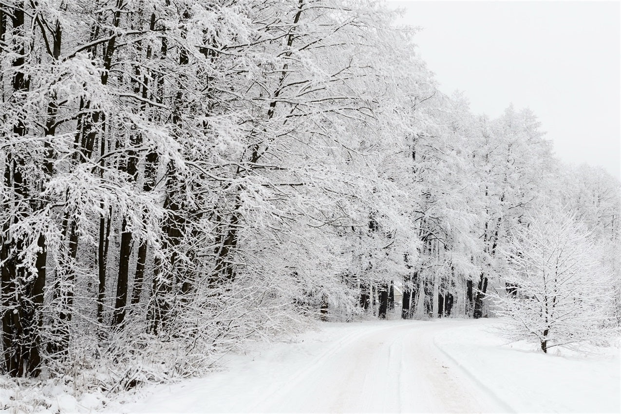 Schneebedeckter Waldweg Winterwunderland Hintergrund BRP9-325