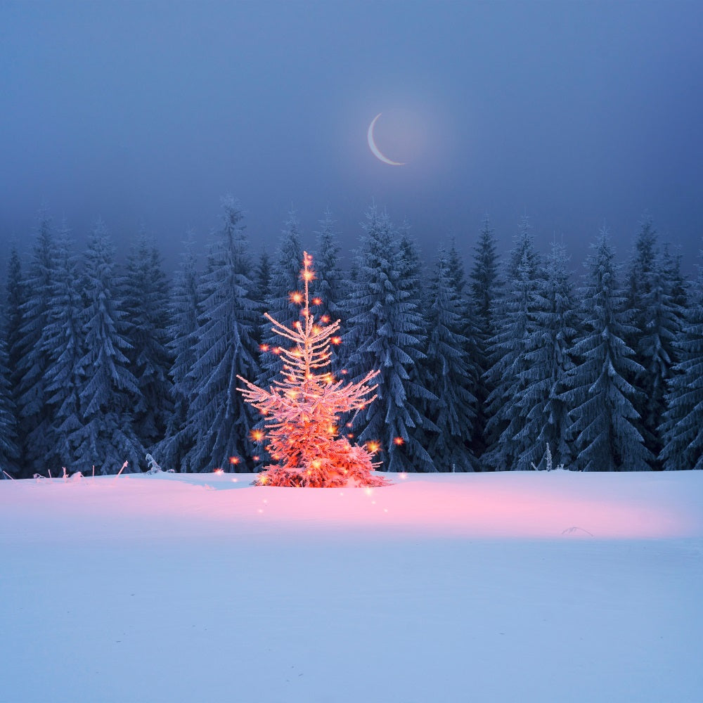 Winter Mondschein funkelnden Weihnachtsbaum Hintergrund BRP9-365