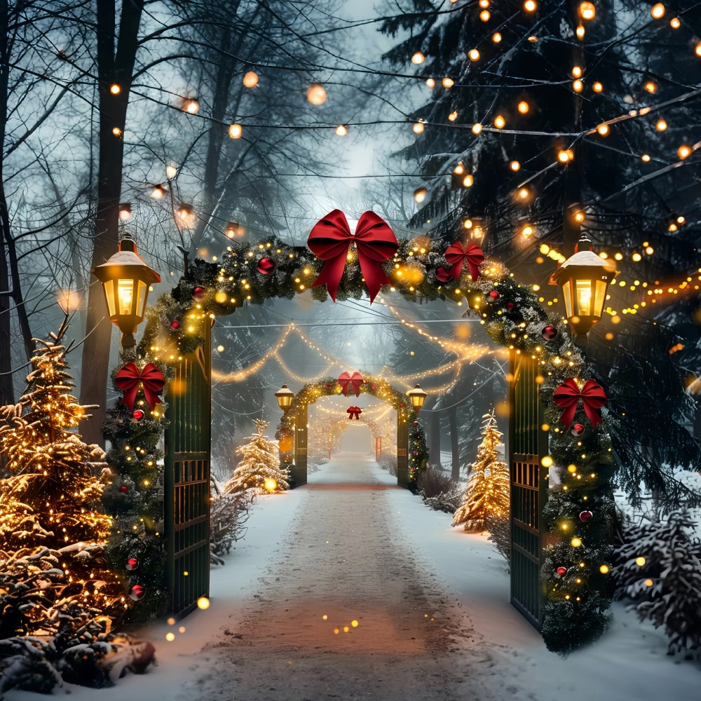 Verschneiter weihnachtlicher Torbogen mit Lichterketten-Hintergrund BRP9-84