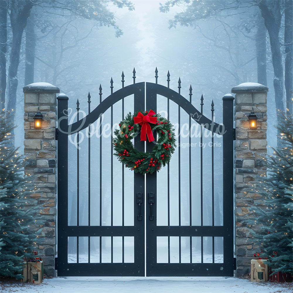 Weihnachten Backdrops Verkauf Verschneiter Wald Eisernes Tor Backdrop CEM5-60