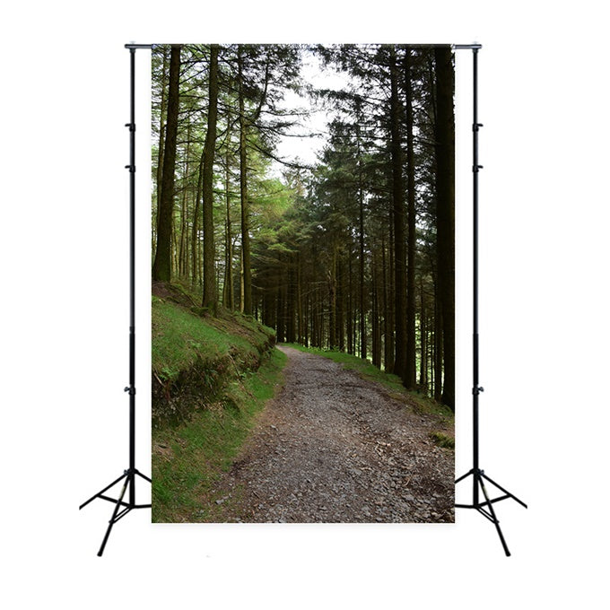 Wald-Fotohintergrund Rustikaler Wald-Kiesweg-Hintergrund CJJ2-118
