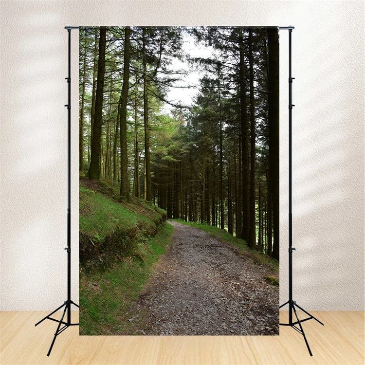 Wald-Fotohintergrund Rustikaler Wald-Kiesweg-Hintergrund CJJ2-118