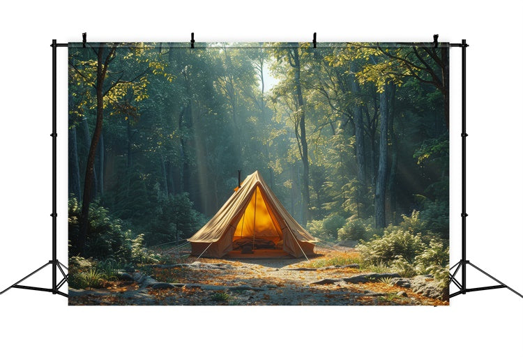 Wildnis Hintergrund Serene Deep Woods Camping Hintergrund CJJ2-42